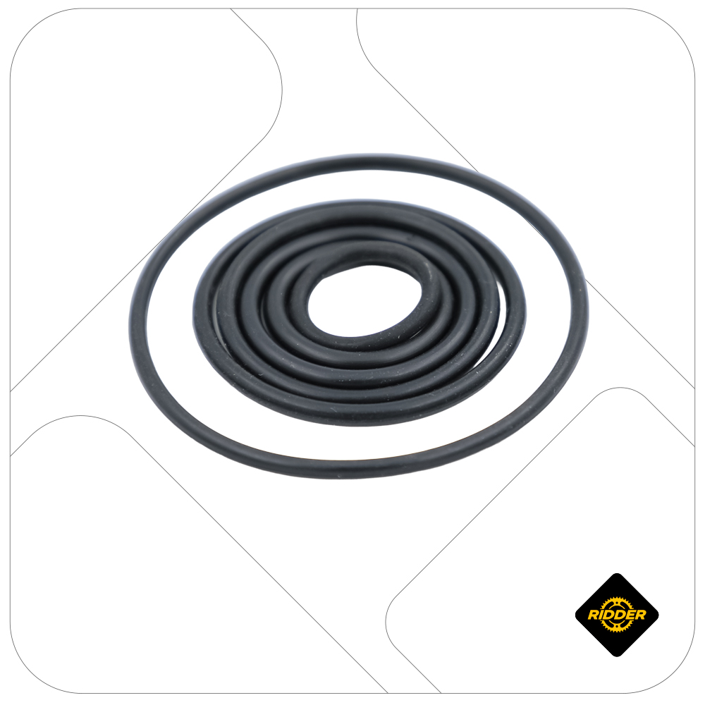ORING ECONOMICO