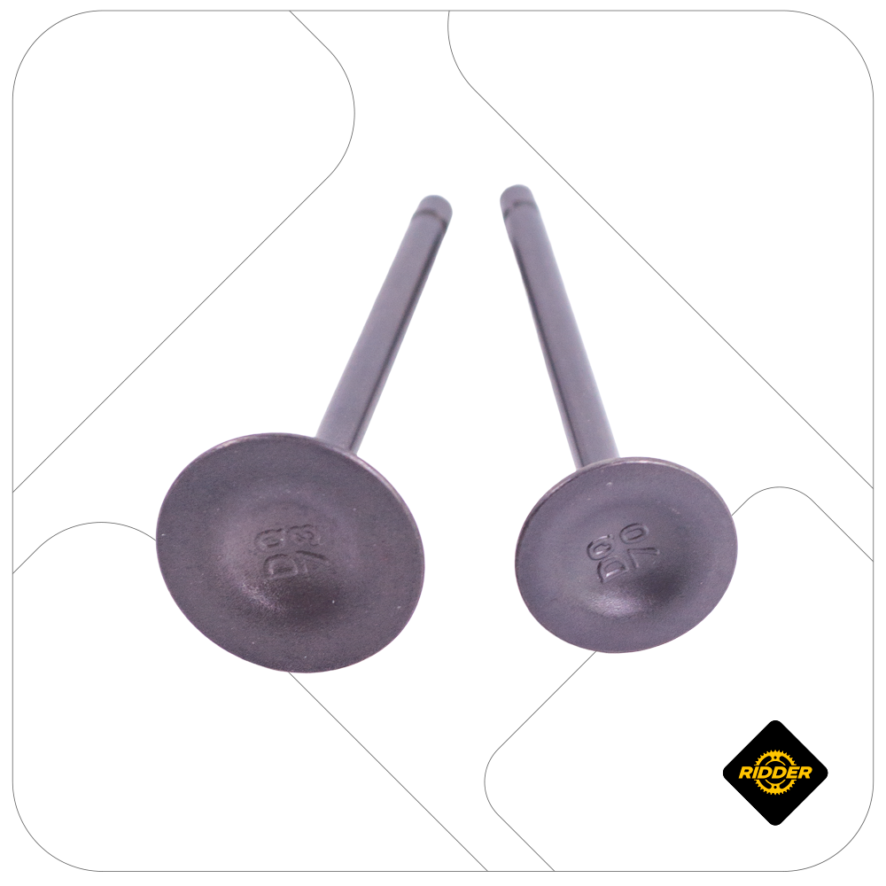 VALVULA KIT XWOLF200